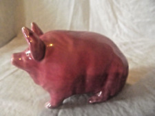 Rare antique robert for sale  EXETER