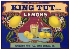 King tut vintage for sale  Chico