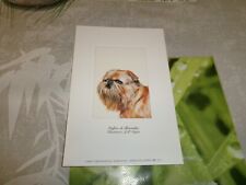 Carte chien griffon d'occasion  Mont-Saint-Aignan