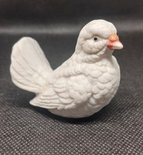 White dove pigeon for sale  LEICESTER