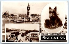 Postcard skegness lincolnshire for sale  TEWKESBURY