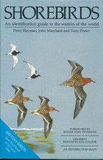 Shorebirds. identification gui d'occasion  Rodez