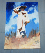 Gust wind steve for sale  IPSWICH