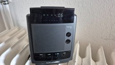Grundig sono clock gebraucht kaufen  Spangenberg