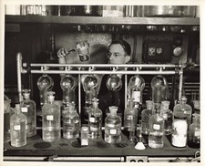 Copos Urbana IL *P141a cientistas de laboratório de soja 1939 USDA Press Photo comprar usado  Enviando para Brazil
