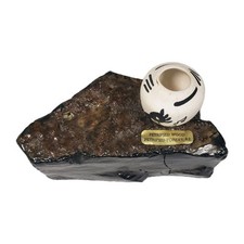 Vintage arizona petrified for sale  Hawthorne