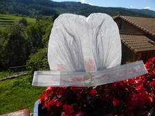 Coiffe ancienne saint d'occasion Coiffe ancienne saint d'occasion  Batz-sur-Mer