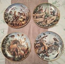 Four seasons robins for sale  DURSLEY