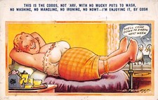Postcard comic fat for sale  BRISTOL
