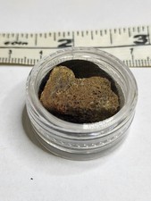 Small genuine triceratops for sale Small genuine triceratops for sale  SOLIHULL