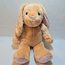 Build bear pawlette for sale  Kimberly