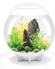 Biorb halo aquarium for sale  CAMBRIDGE