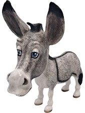 pet donkey for sale pet donkey for sale UK