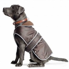 Ancol stormguard dog for sale  MANSFIELD