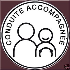 Disque électrostatique condui d'occasion  Ingwiller