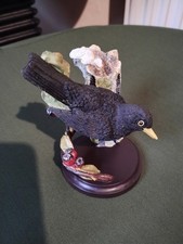 Country bird collection for sale  NORTHAMPTON