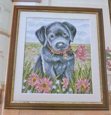 Cross stitch chart for sale  COLCHESTER