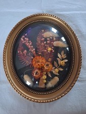 Ancien cadre oval d'occasion  Selles-sur-Cher