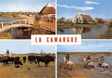 Camargue d'occasion  France