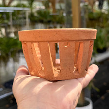 Clay orchid pots for sale  Ocala