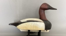 Canvasback duck decoy for sale  Goodyear
