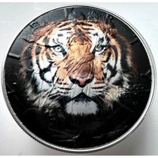 Siberian tiger american for sale  Issaquah