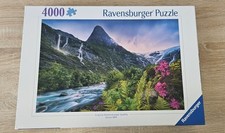 4000 teile ravensburger gebraucht kaufen  Halle