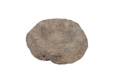 California stone early for sale  Oak Harbor
