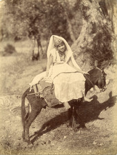 Algérie jeune mauresque d'occasion  Pagny-sur-Moselle