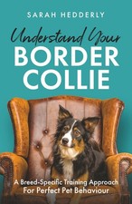 Understand border collie for sale  ILFORD