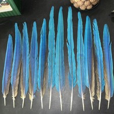 Set feathers 22 for sale  Chicago