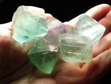 Lot five fluorescent for sale  Salt Lake City