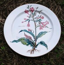 Botanica villeroy boch d'occasion  Albertville