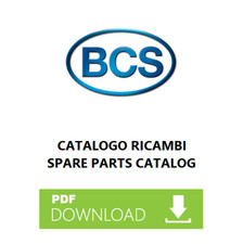 Bcs 204 serie usato  Roma