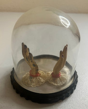 Perfume bottle display for sale  Janesville