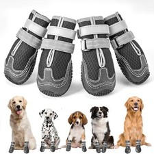 Chaussure chien maille d'occasion  Lyon I