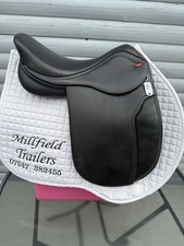 Whitaker working hunter for sale  DONCASTER