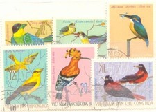 Vietnam 1966 fauna usato  Carugate