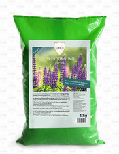 Linsor lupine samen gebraucht kaufen  Hemsbach