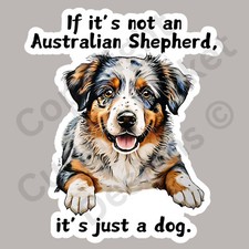 Australian shepherd dog for sale  Charlotte