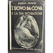 Uovo cova sua usato  Alessandria