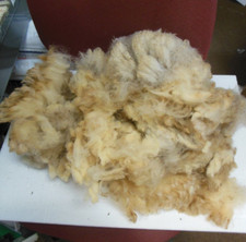 Great horned dorset for sale  Milner
