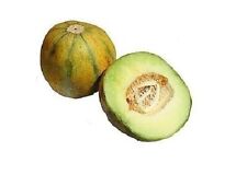 Melon seeds multiple for sale  Baltimore