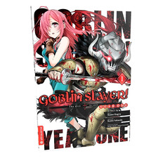 Goblin slayer year gebraucht kaufen  Westerrönfeld