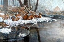 Creekside jim hansel for sale  Saint Paul