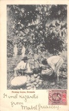 Cpa grenade picking d'occasion  Claira