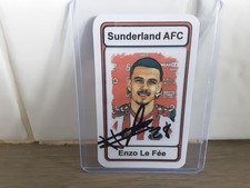 Sunderland enzo fee for sale Sunderland enzo fee for sale  ALNWICK