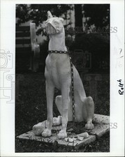 1984 Press Photo Ralph the gesso Great Dane at Largo, Fla prefeitura, usado comprar usado  Enviando para Brazil
