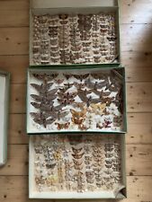 Entomology set 3 for sale  LONDON