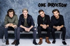 Poster one direction usato  Spedire a Italy